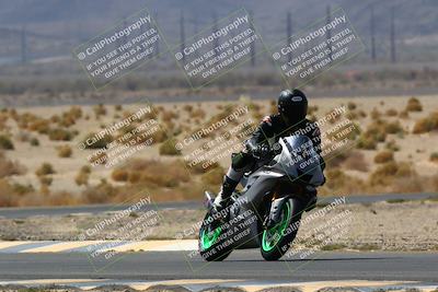 media/Apr-10-2022-SoCal Trackdays (Sun) [[f104b12566]]/Turn 5 Tree of Life (1040am)/